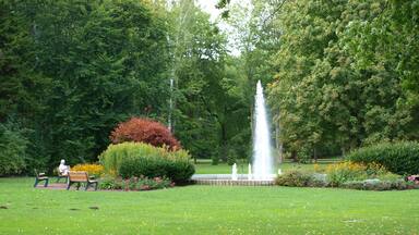 A park with a fountain, benches, and lush greenery.