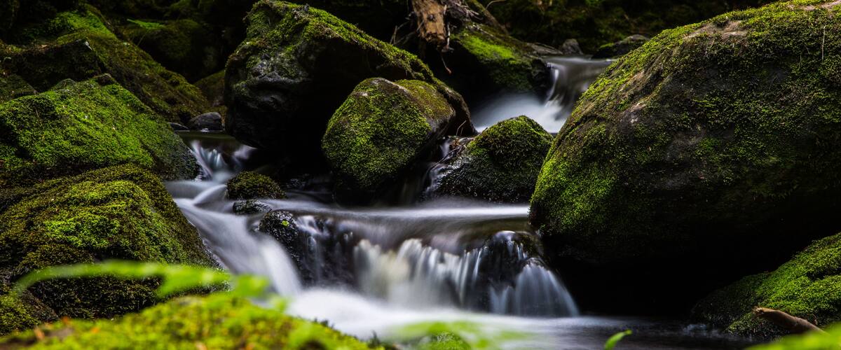 Silky smooth waterfall flowing over moss covered rocks in Black Forest stream near Ottenhöfen, long exposure nature photography Germany