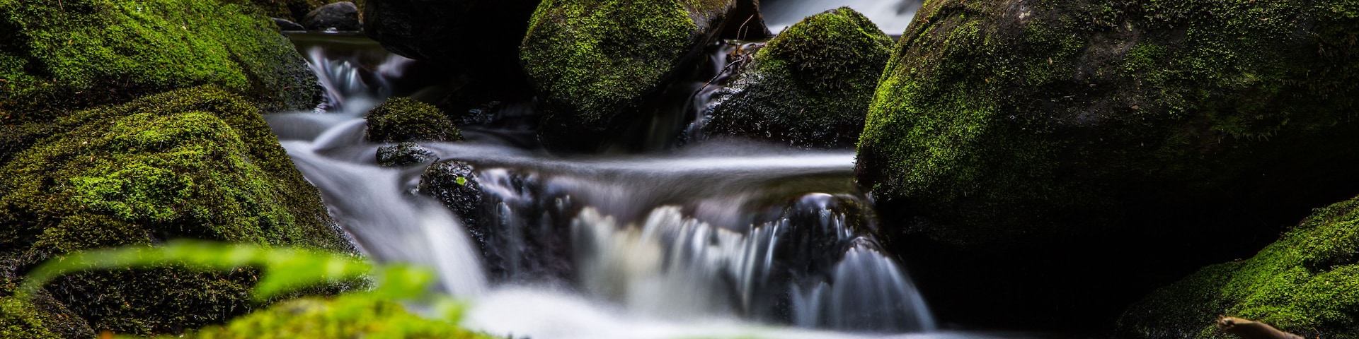 Cachoeira coberta de musgo, com água descendo sobre rochas em uma floresta.
