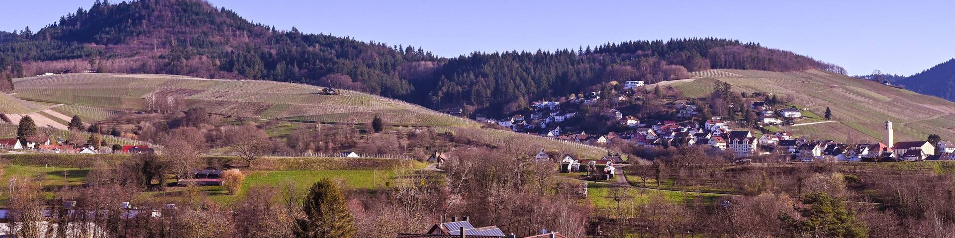 View of the vineyards of the village of Varnhalt and Yburg Castle near Baden Baden. Baden Wuerttemberg, Germany, Europe