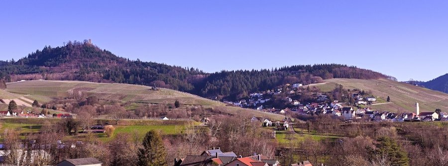 Paisaje rural con viñedos, un pequeño pueblo y un castillo en la colina.