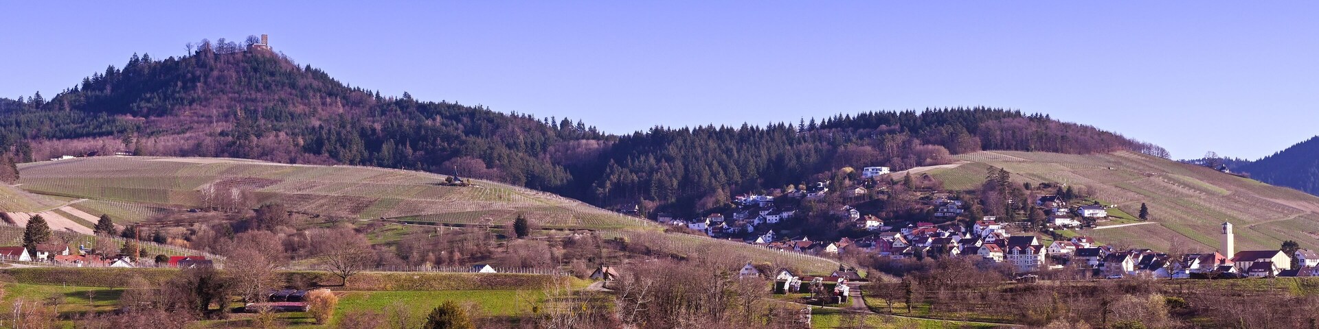 A rural landscape with vineyards, a small village, and a hilltop castle.