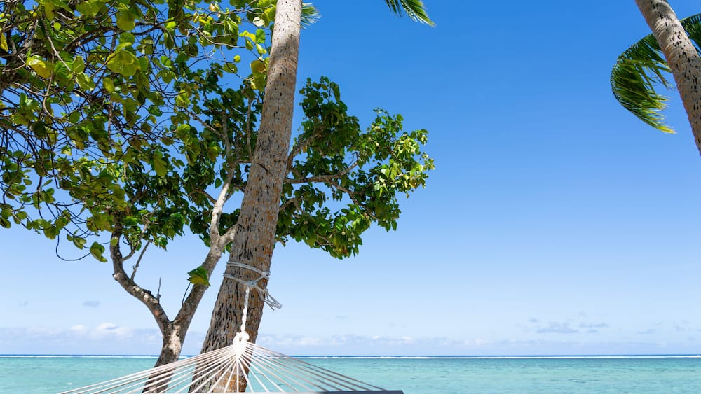 White rope hammock tied to coconut palm tree at waters edge