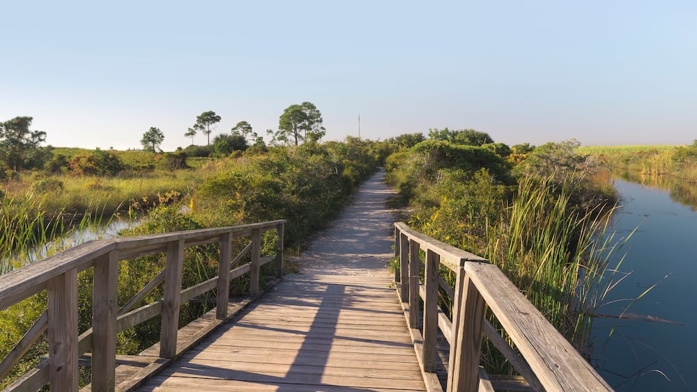 Wooden Footbridge Path at Fort Pickens