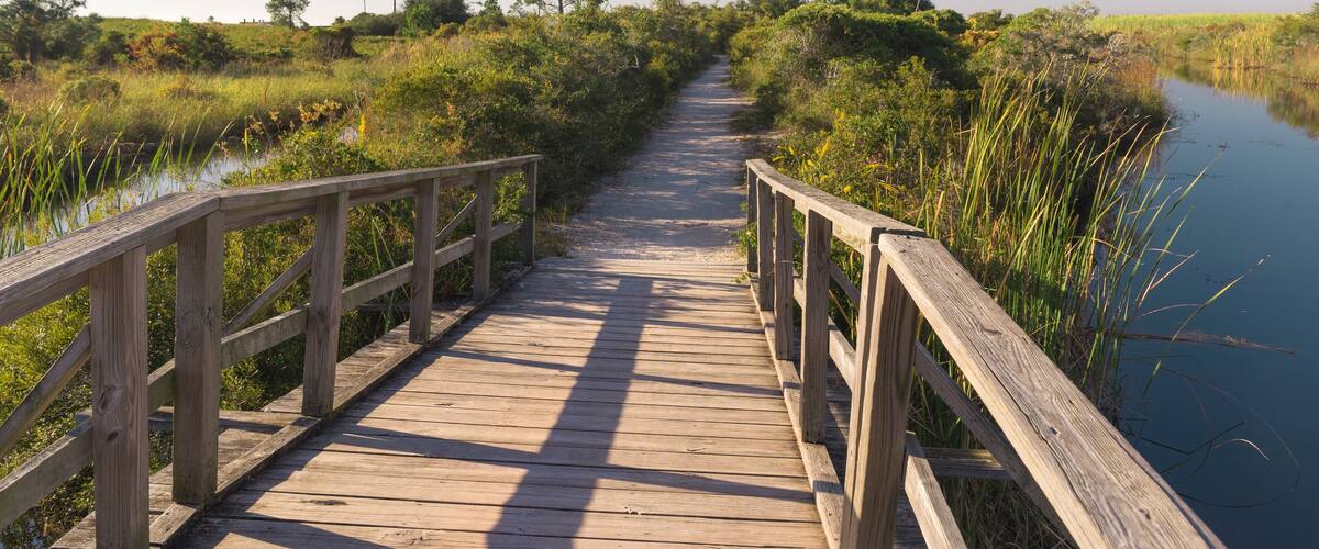 A wooden boardwalk leading through a marshy area with water on both sides.