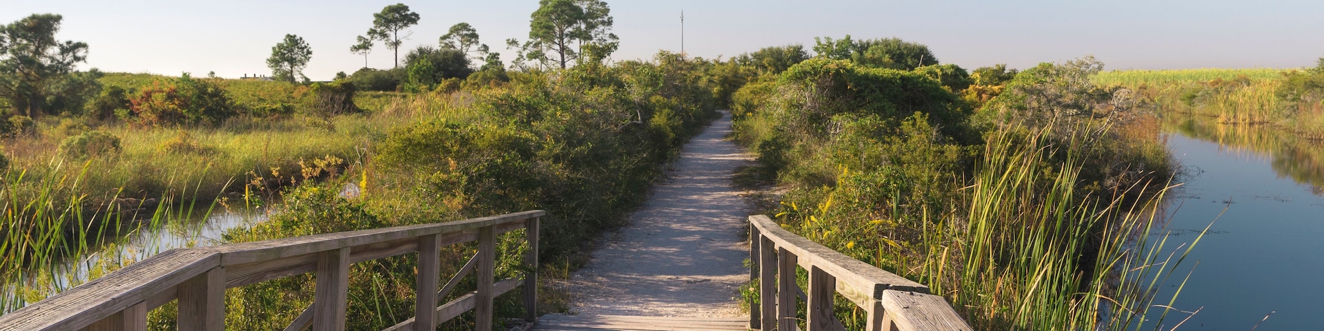 A wooden boardwalk leading through a marshy area with water on both sides.
