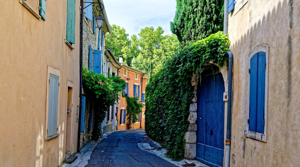 بيرنيه ليه فونتانيه