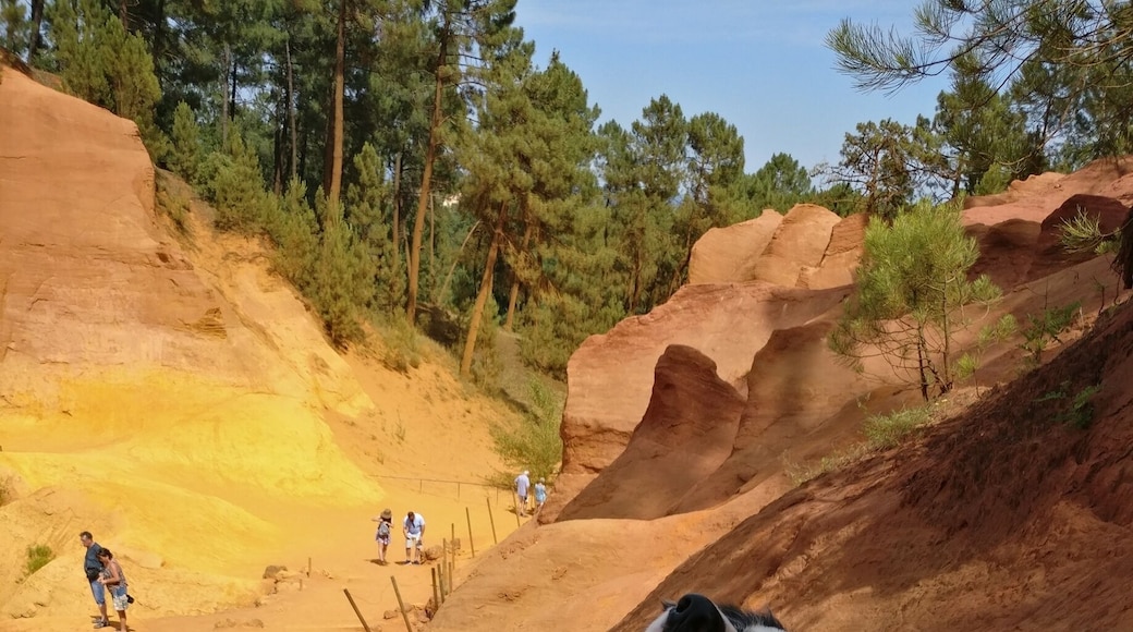Beautiful red rocks at the ochre trail. But watch out for your clothes, the red sand stains when you sit down. My dog was more reddish than white after the walk.
