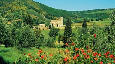 Castelnuovo dell'Abate