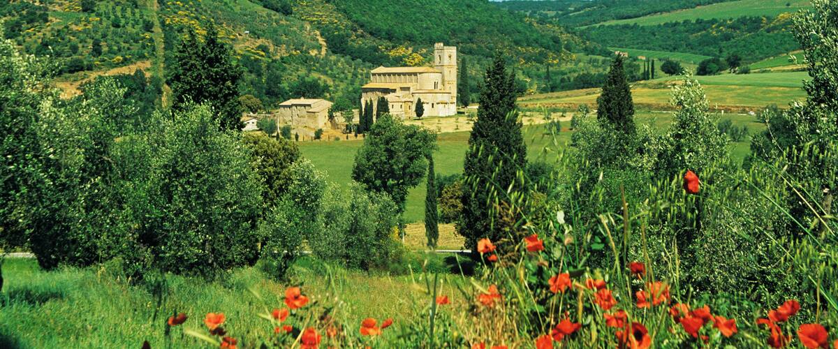 A historic building surrounded by lush green hills and red poppies.