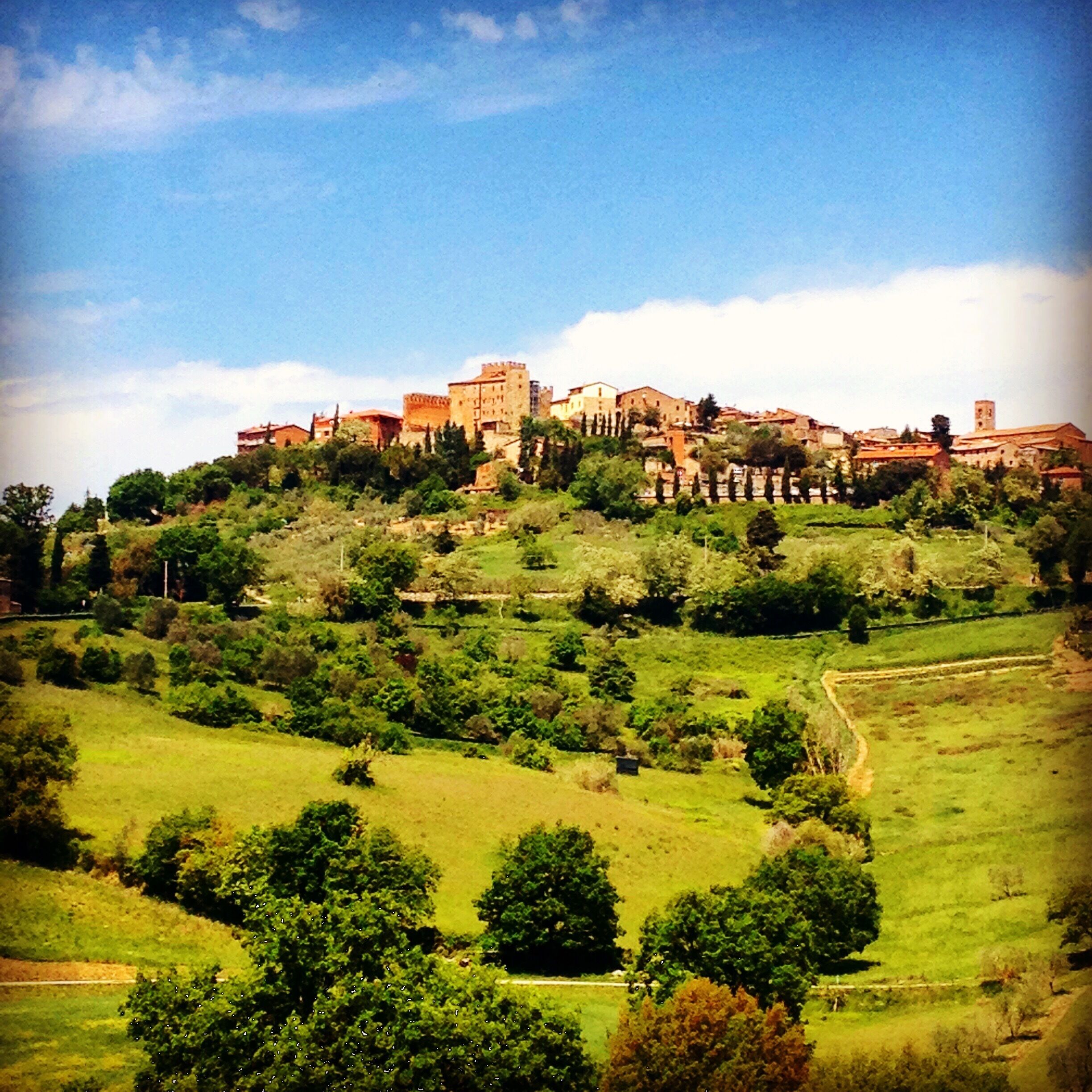 View of Casole d'elsa ( colline senesi)