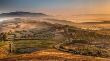 A vineyard landscape with rolling hills, mist, and a small building.