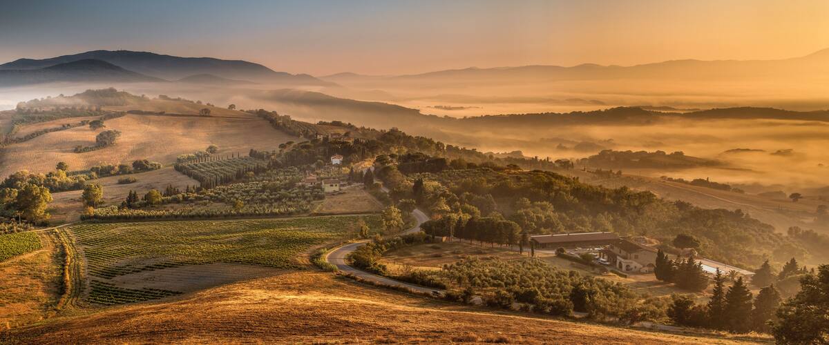 A vineyard landscape with rolling hills, mist, and a small building.