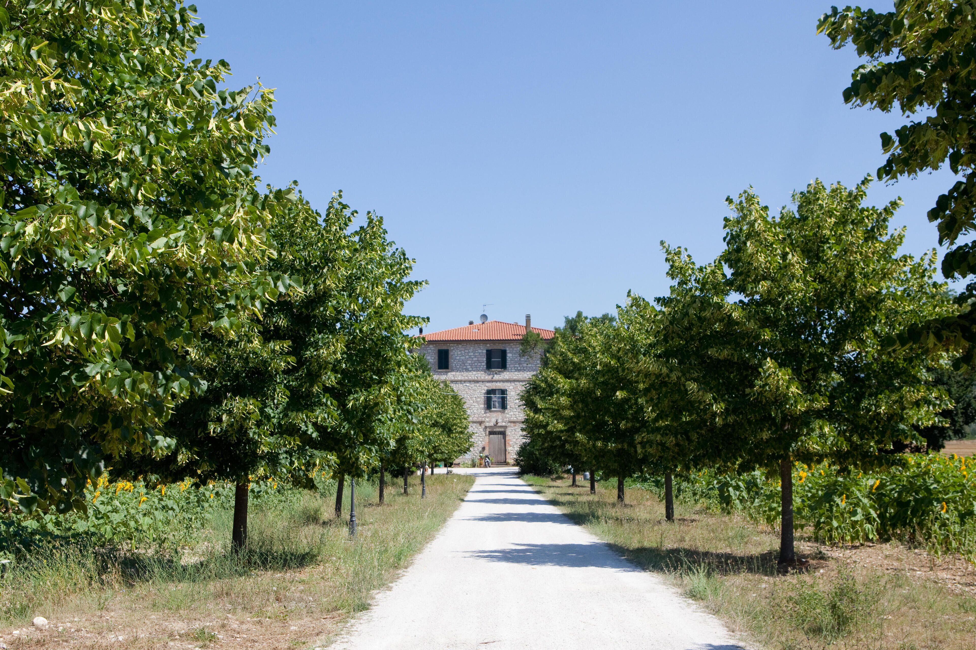 A rural path leading to a stone building with a red roof, surrounded by trees and fields.