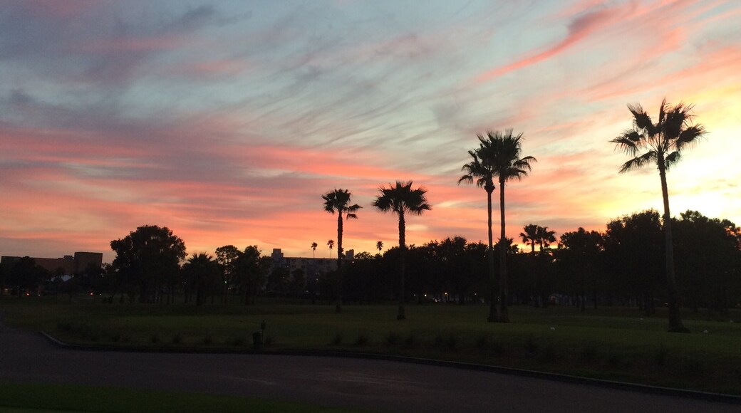 Beautiful sunset at the course