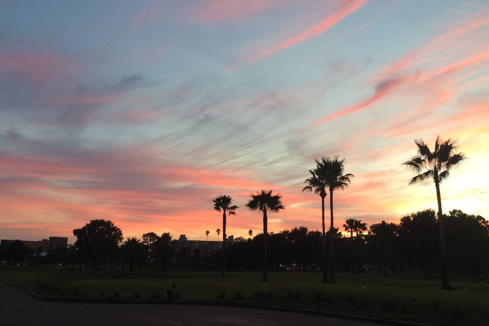 A sunset with palm trees silhouetted against a colorful sky.