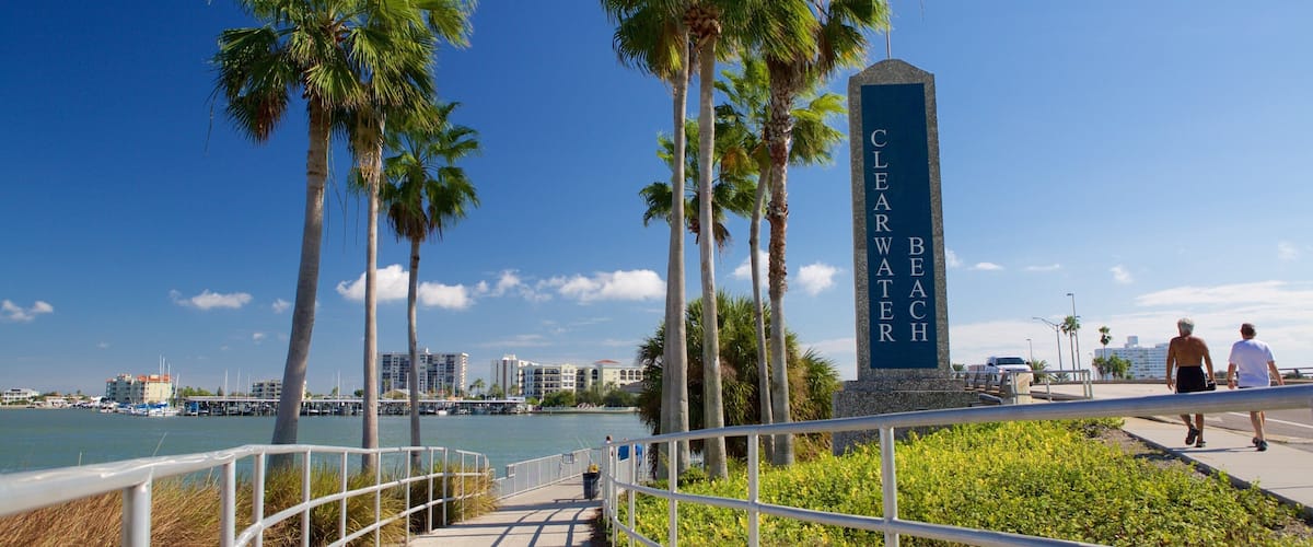 Une promenade en bord de mer bordée de palmiers, un panneau indiquant « Clearwater Beach », et une vue sur la ville en arrière-plan.