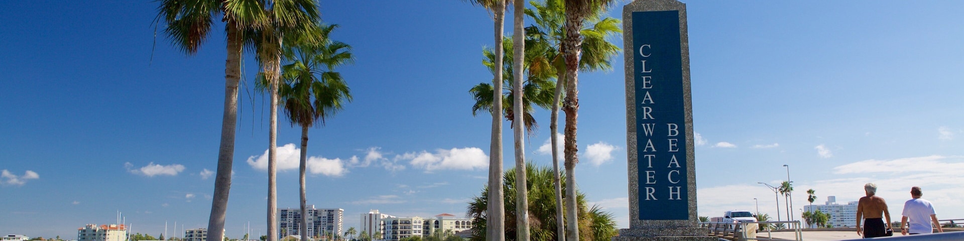 Paseo marítimo con palmeras, un cartel que dice "Clearwater Beach" y un paisaje urbano al fondo.