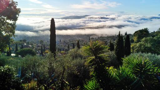 Sea of clouds in French Mountains