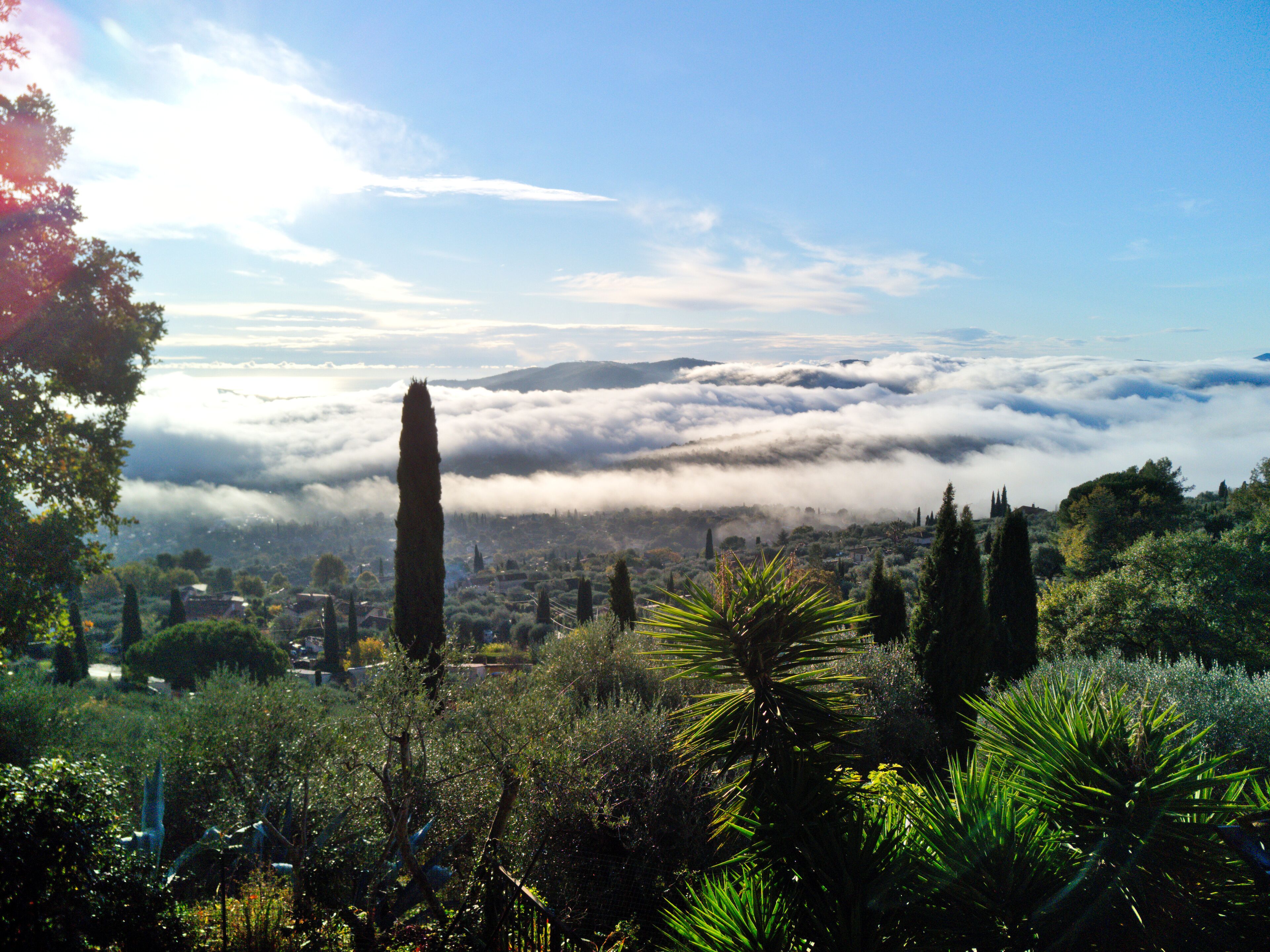 A coastal city with a prominent tower, dense greenery, and a sea of clouds in the background.