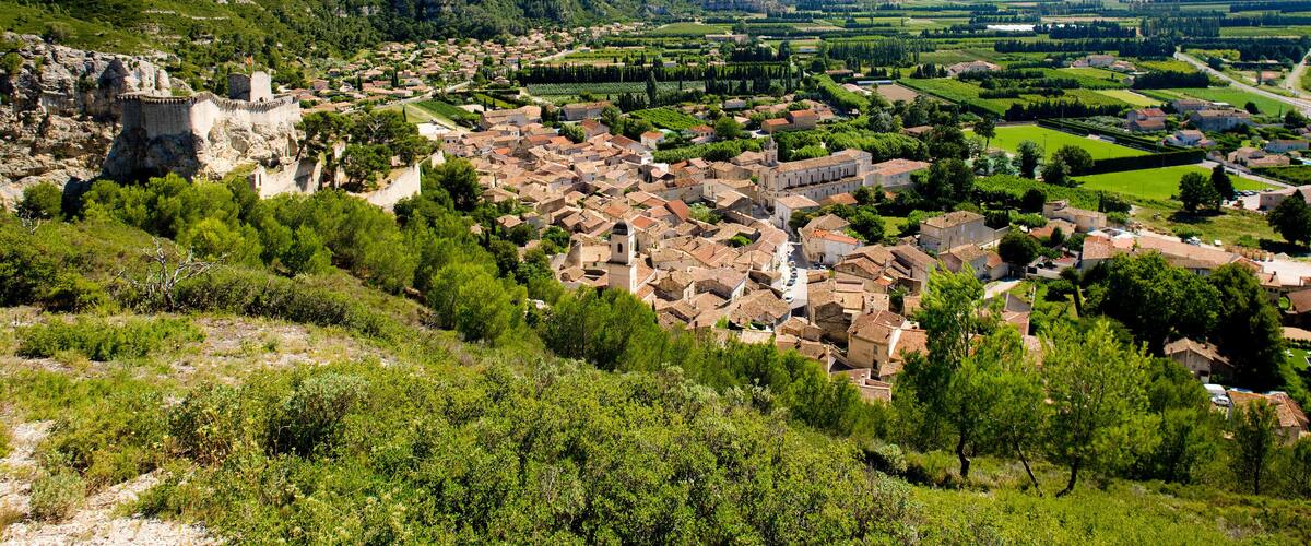 A historic town with a prominent castle, lush green hills, and vineyards.