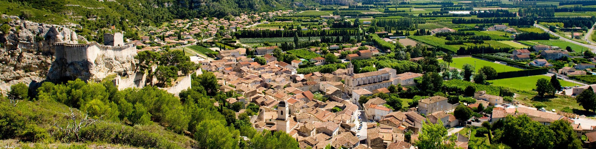 A historic town with a prominent castle, lush green hills, and vineyards.