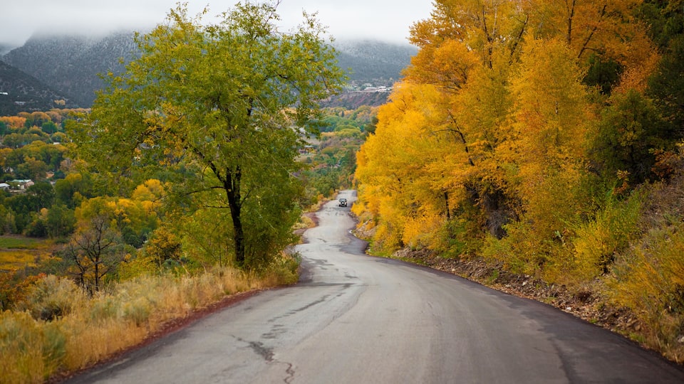 A winding road through a valley with autumn-colored trees and a mountain in the background.