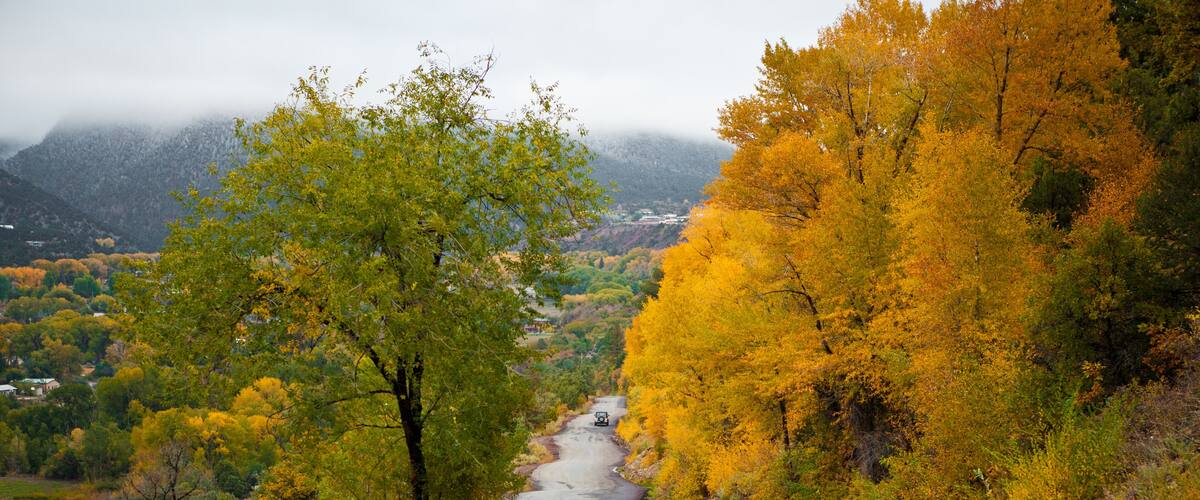 A winding road through a valley with autumn-colored trees and a mountain in the background.