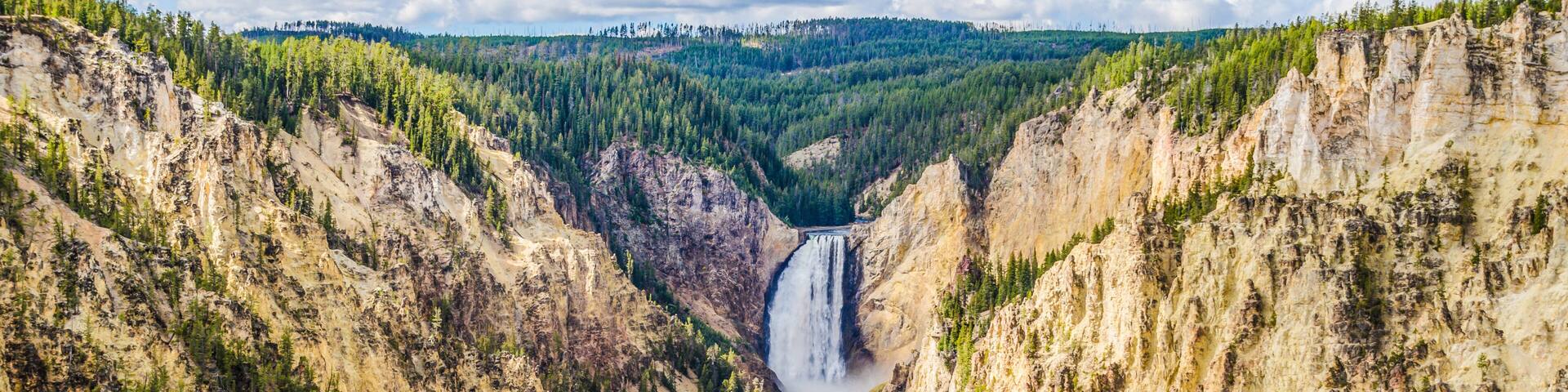 Canyon of the Yellowstone mit Lower Falls vom Artist Point