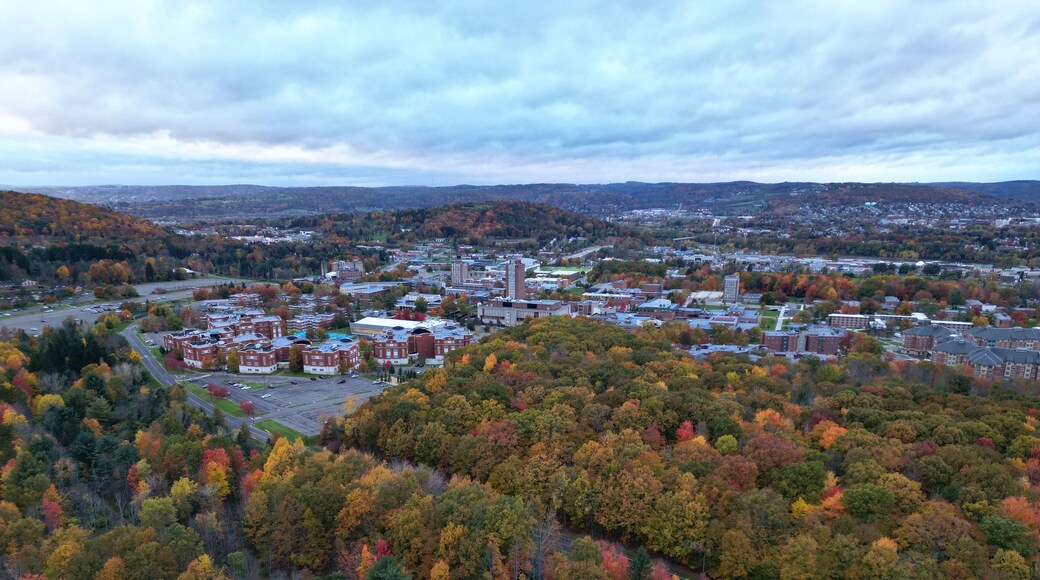 arial view of binghamton university in vestal, new york during autumn with fall foliage (leaves changing colors) at dusk, sunset, cloudy sky (library tower, student union, mountainview residence hall)