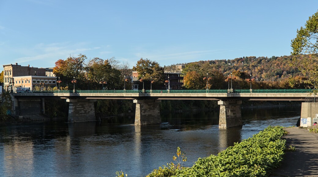 view of court street bridge in downtown binghamton, new york (town in broome county, southern tier) chenango river, court street