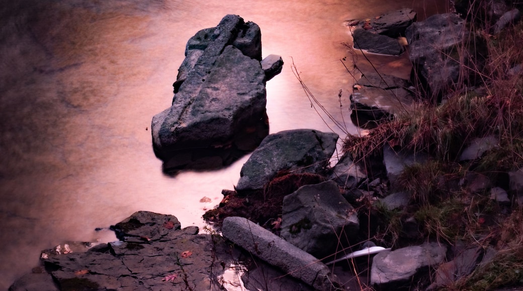 A rocky stream with water flowing over stones.
