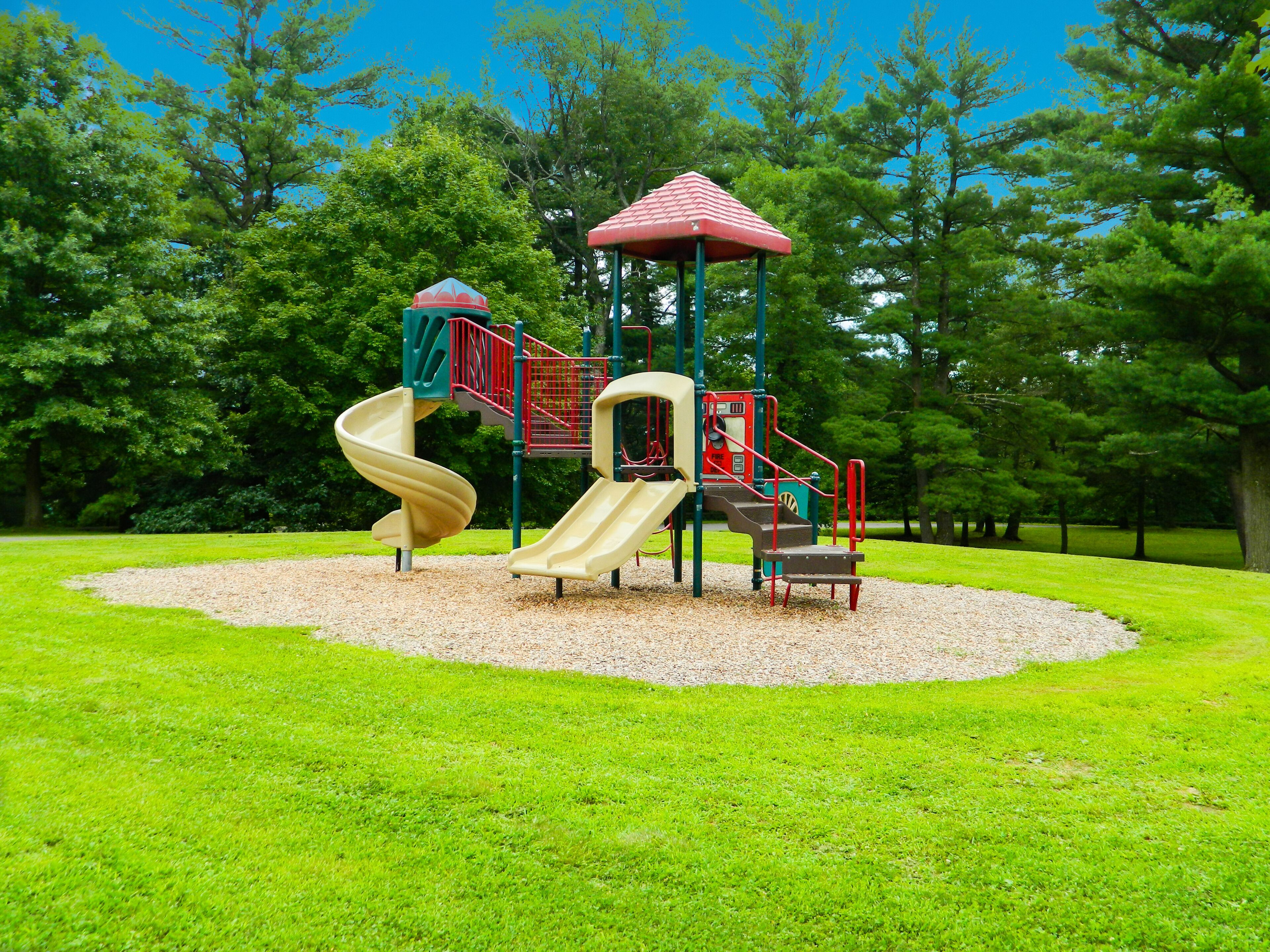 Jungle Gym at Roundtop Park Endicott, NY