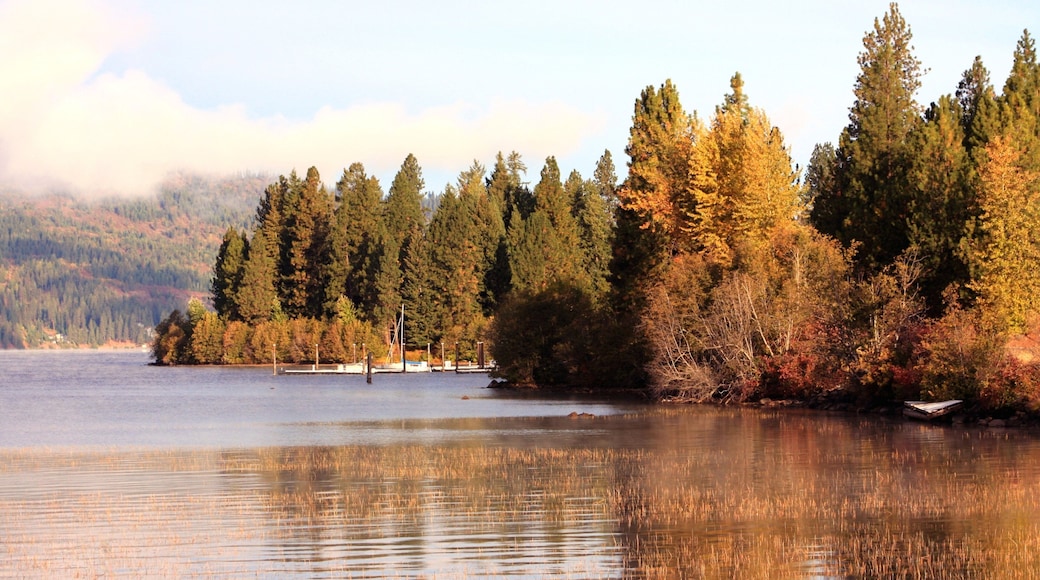 Coeur d\'Alene featuring autumn leaves, forests and a lake or waterhole