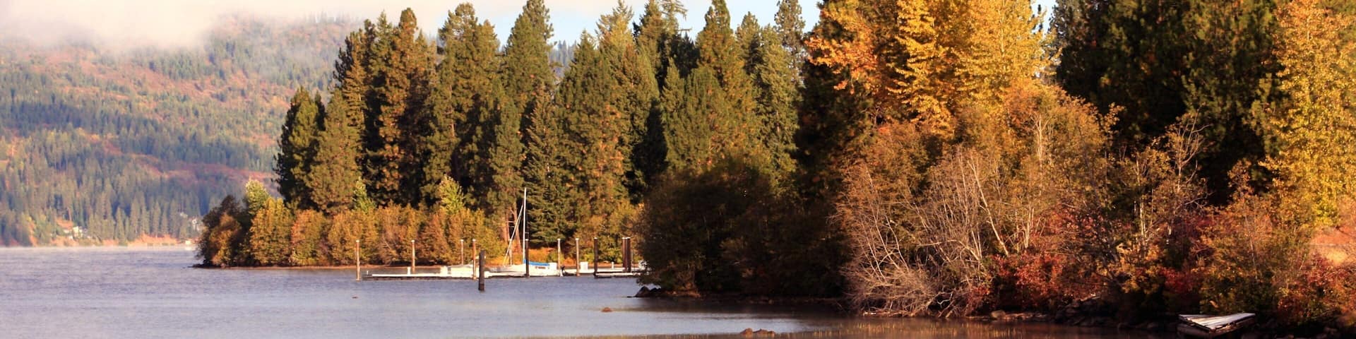 Coeur d\'Alene featuring forest scenes, fall colors and a lake or waterhole