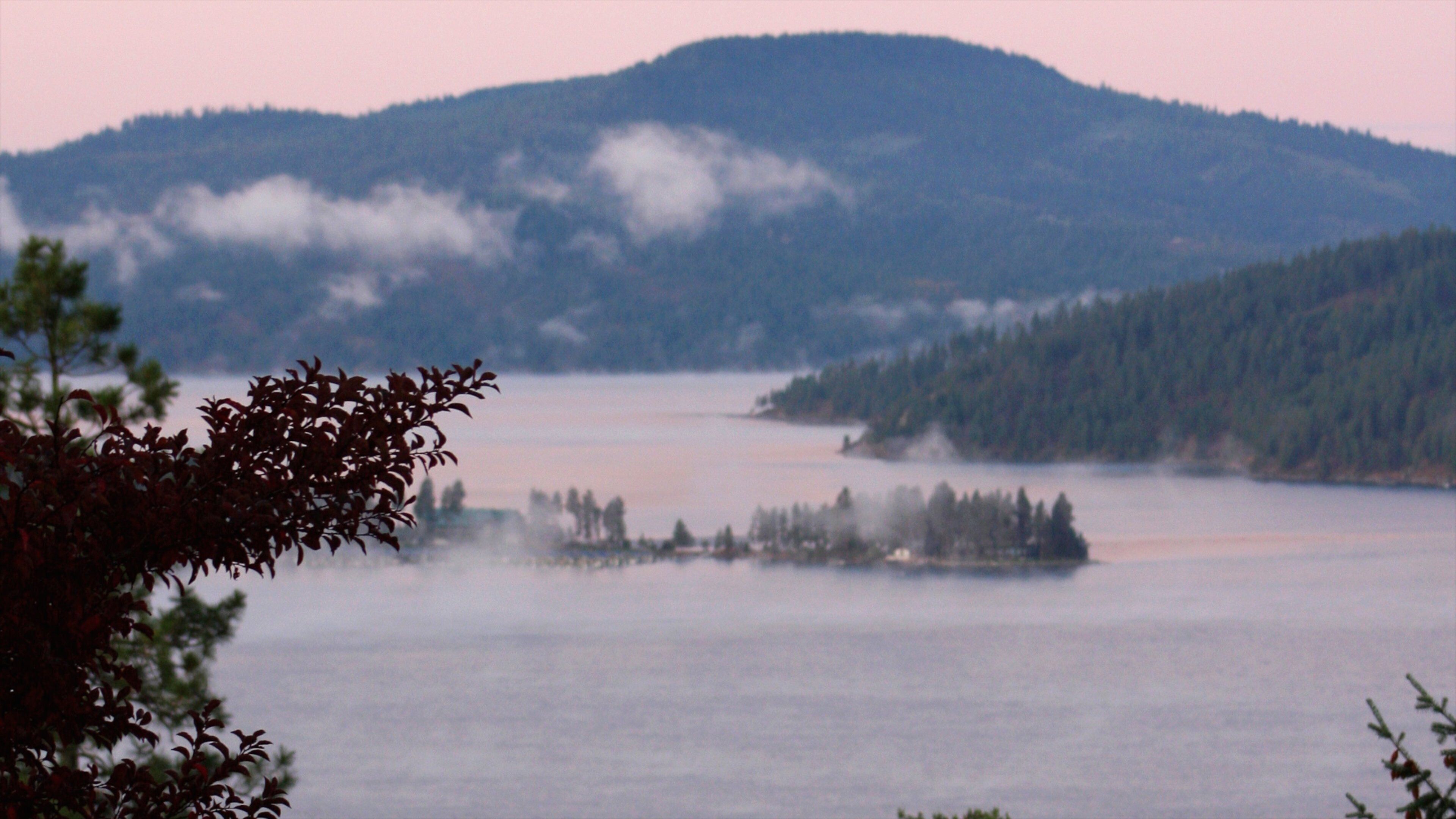 Coeur d\'Alene showing mist or fog and a lake or waterhole