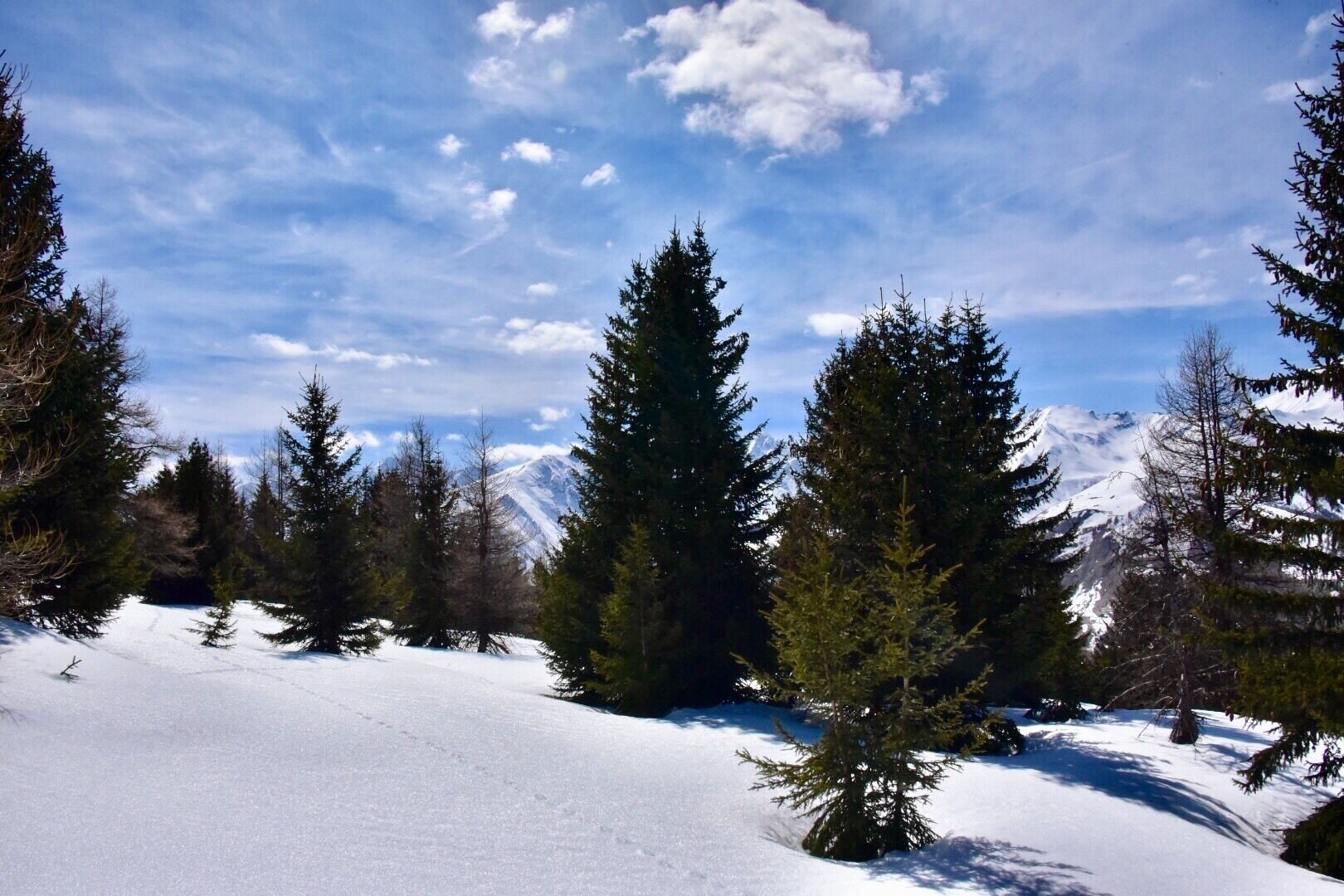 Snowshoe hike in Valloire