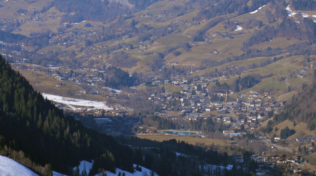 Praz-sur-Arly