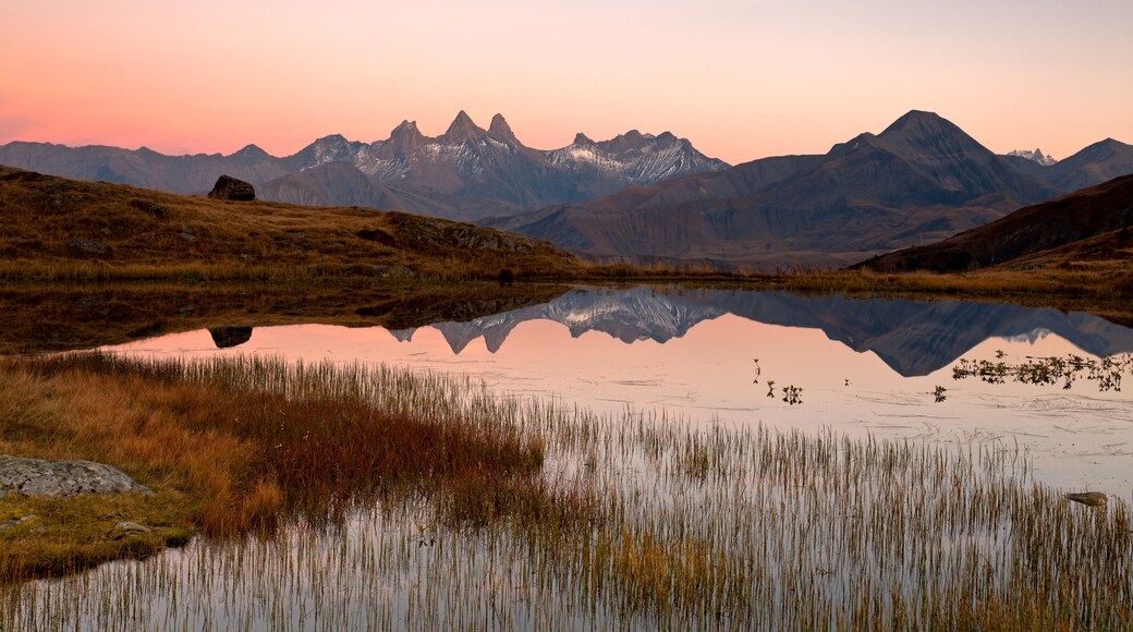 Lac de montagne des alpes reflet et algues