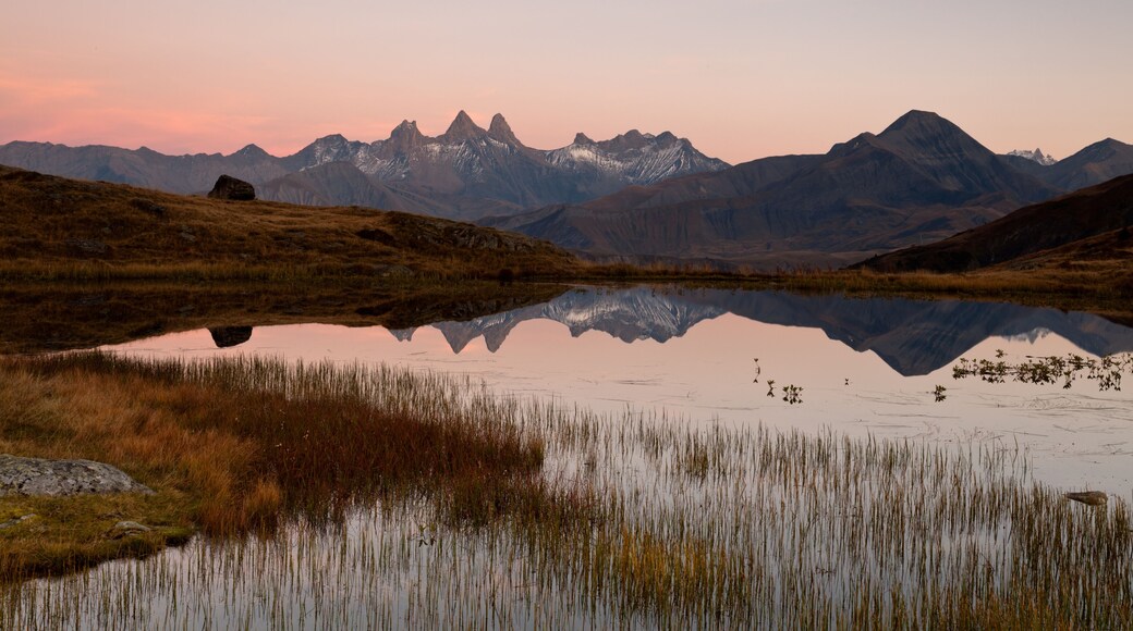 Lac de montagne des alpes reflet et algues
