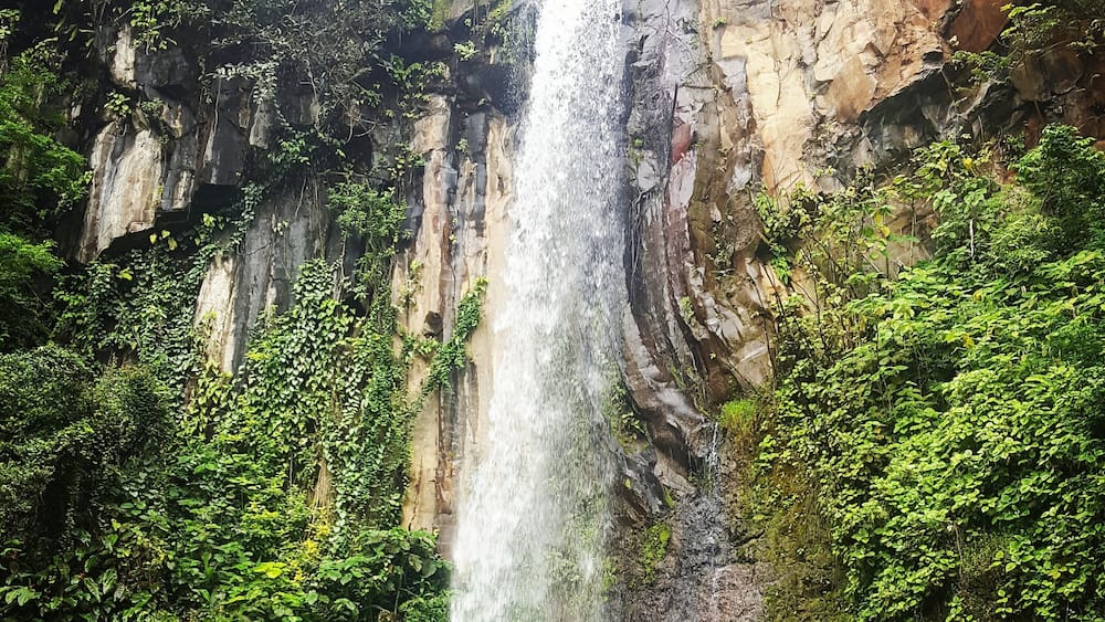 Beautiful waterfall on our hike to some natural thermal pools.