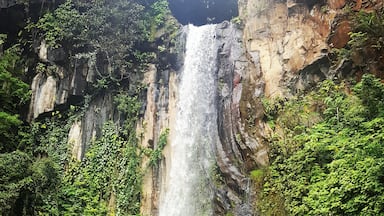 Orosi