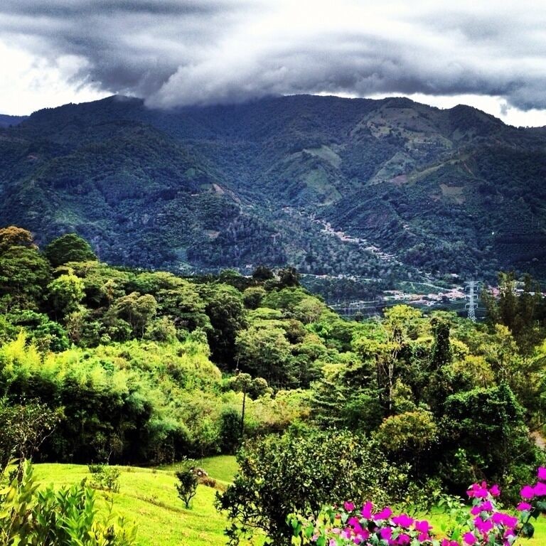 A lush green valley with a river, surrounded by mountains and dense vegetation.