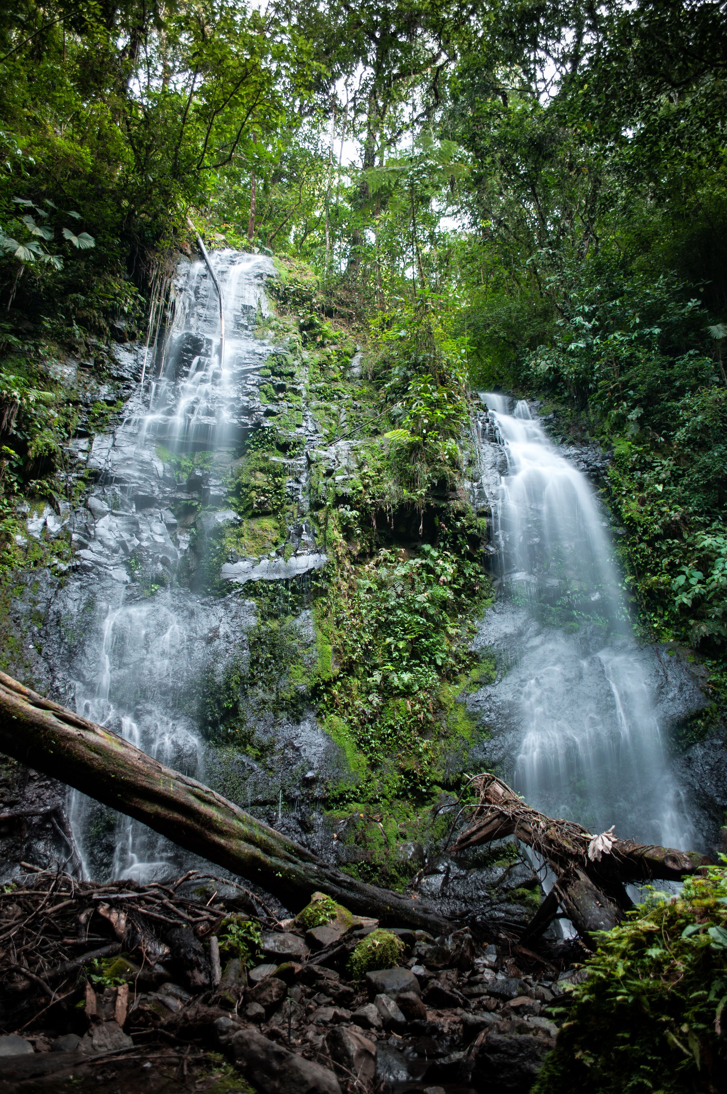 A waterfall cascading over rocks in a lush forest.