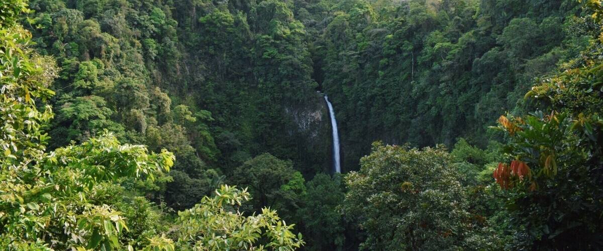 Amazing waterfall in Costa Rica! Totally worth the 500 stairs there and back. #takeahike