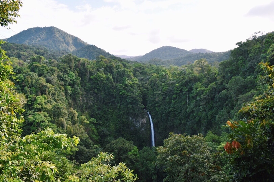 Amazing waterfall in Costa Rica! Totally worth the 500 stairs there and back. #takeahike