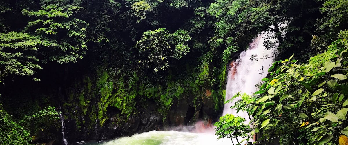 While the waters of Rio Celeste are normally a bright blue, during the rainy season the water loses its bright blue hue due to soil deposits in the water. #hiking