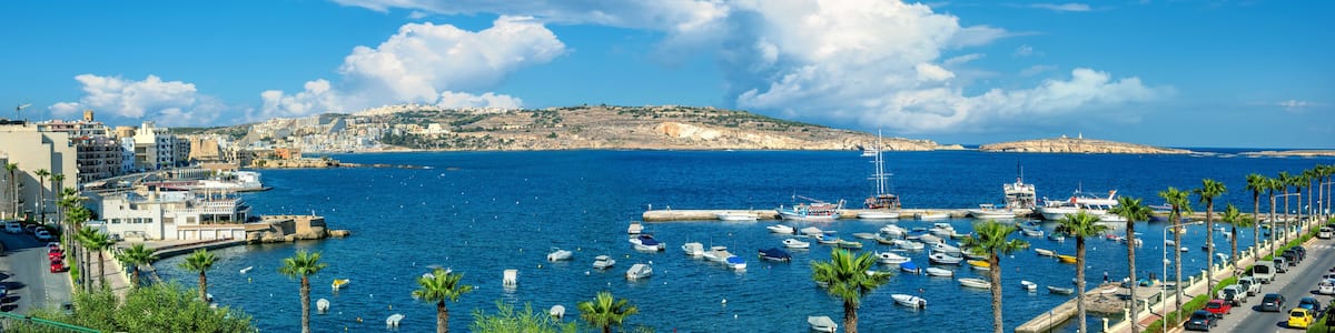 Une ville côtière dotée d’un port de plaisance, de bateaux et de palmiers.