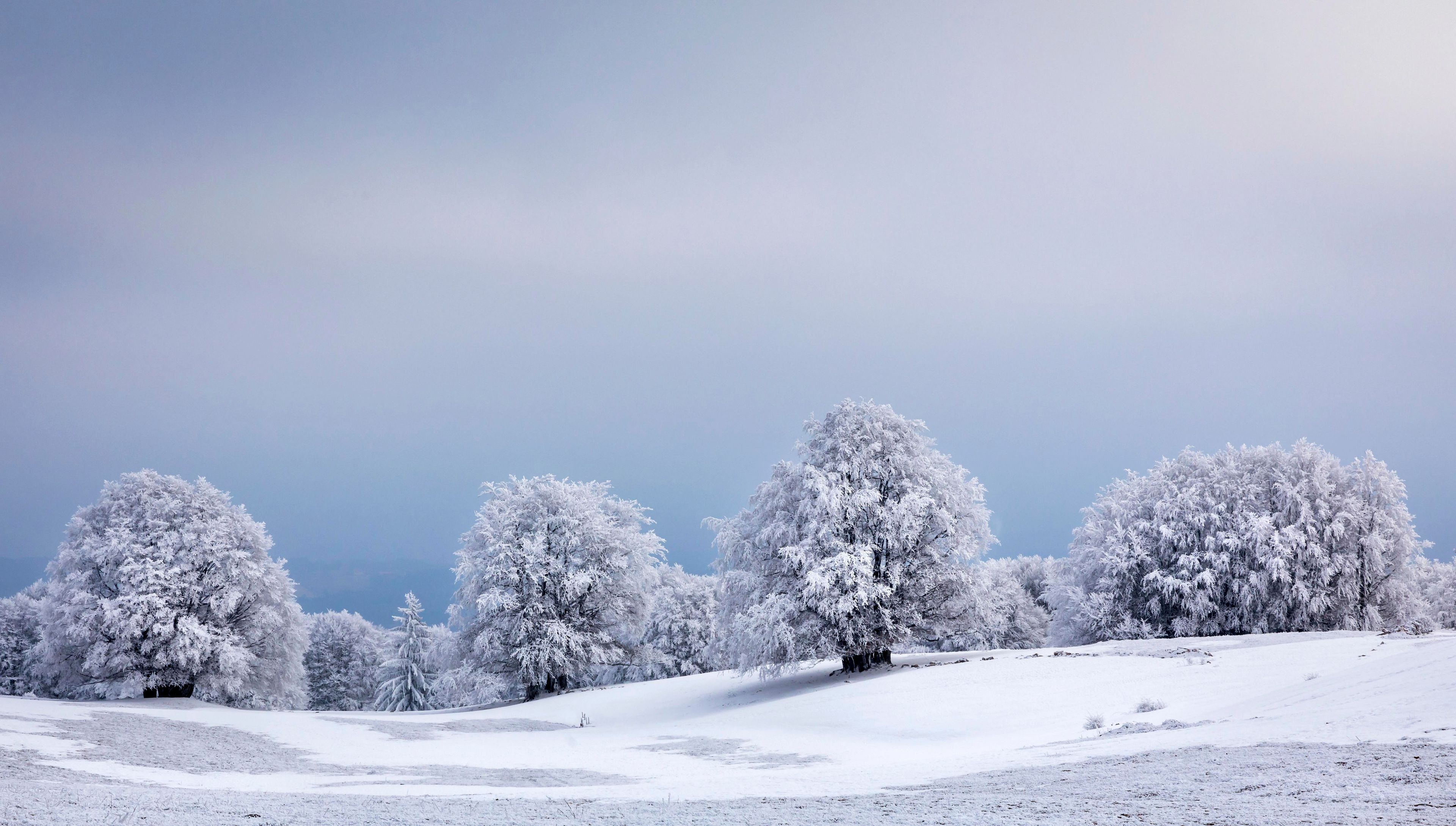 Winter landscape with frozen trees, Mont Saleve, Archamps, France, Europe