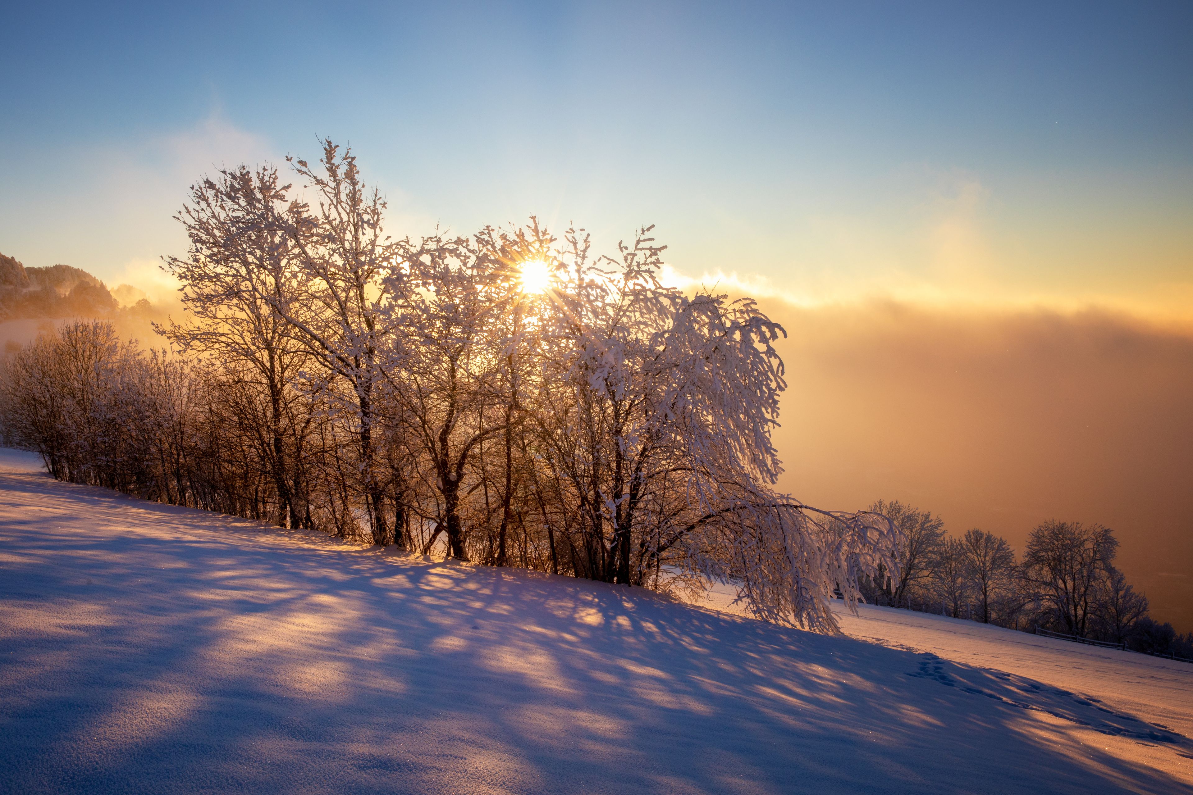 Winter landscape, frozen trees in winter, Mont Salève, Archamps, France